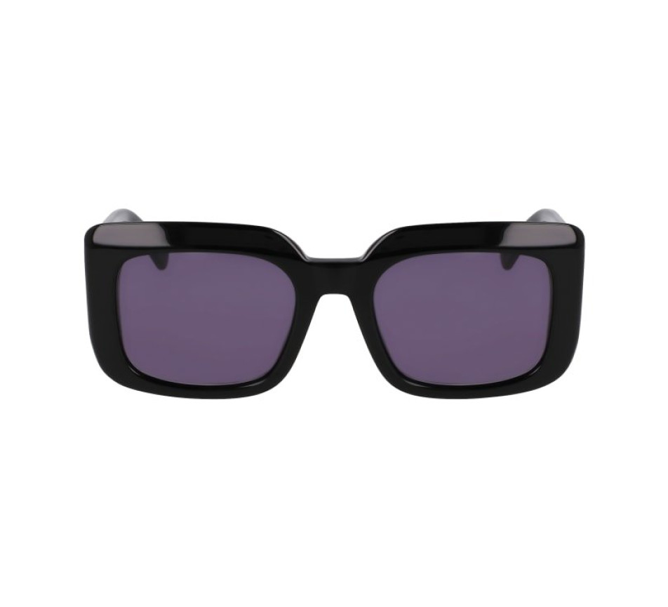 Sonnenbrillen LONGCHAMP LO753S 001 51/20