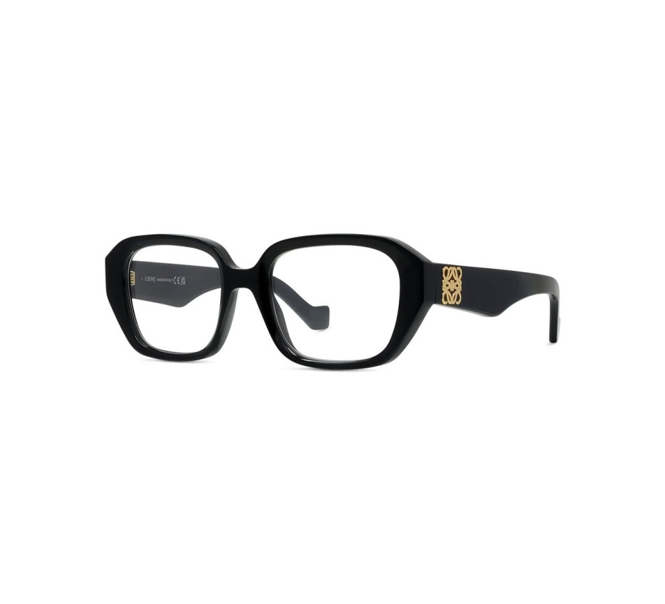 Brillen LOEWE ANAGRAM LW50113I 001 51/19