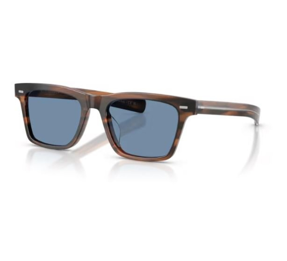 Sonnenbrillen OLIVER PEOPLES MAESTRO OV5590SU 1724GH 51/18