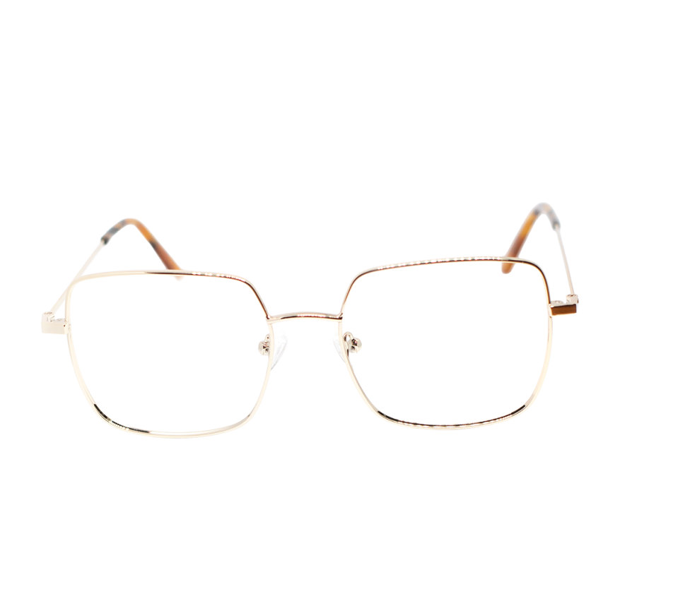 Brillen AKSESS NO2205 Gold 53/17