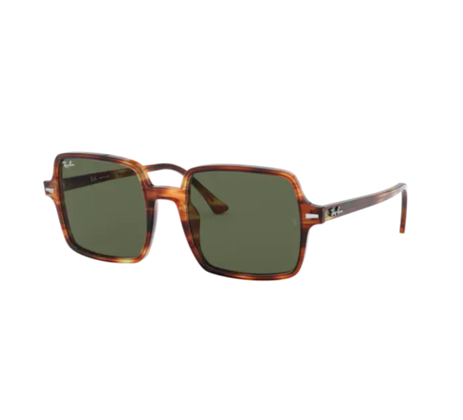 Sonnenbrillen RAY-BAN RB1973 954/31 53/20