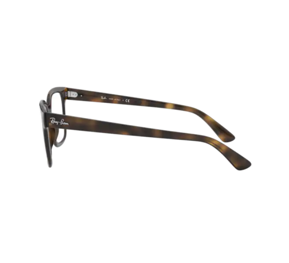 Brillen RAY-BAN RX4323V 2012 51/20