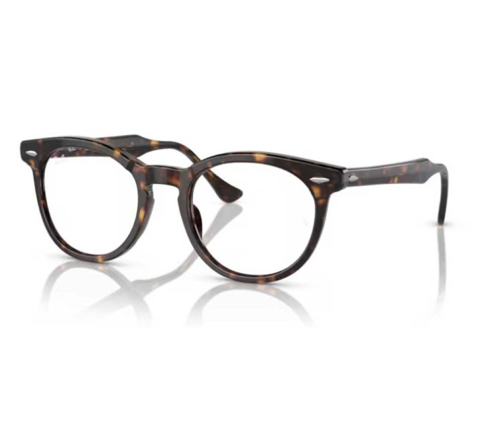 Brillen RAY-BAN RX5598 2012 51/21