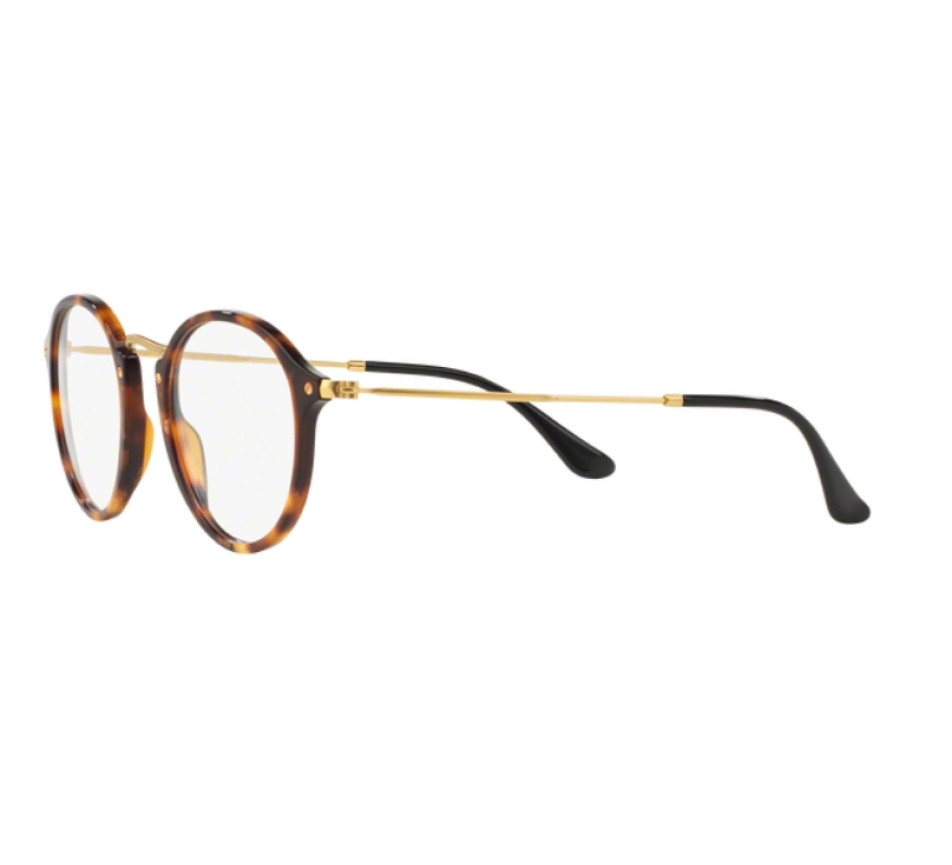 Brillen RAY-BAN RX2447V 5494 49/21