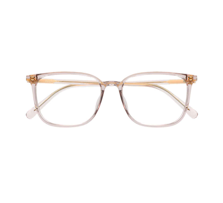 Brillen VALENTINO VG0040OA-004 54/16