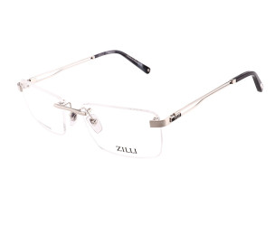 ZI60091