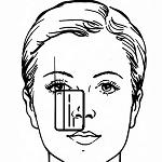 Monture grande taille